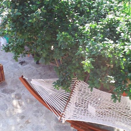 Villa Eden غولدن ساندز المظهر الخارجي الصورة